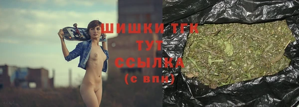 гидра Алзамай