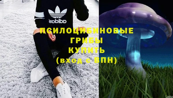 гидра Алзамай