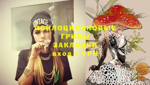 прущие крисы Алексеевка