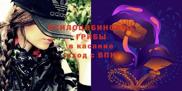 гидра Алзамай