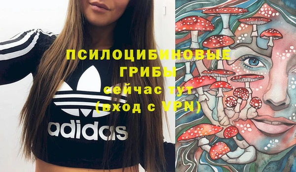 стафф Алексин