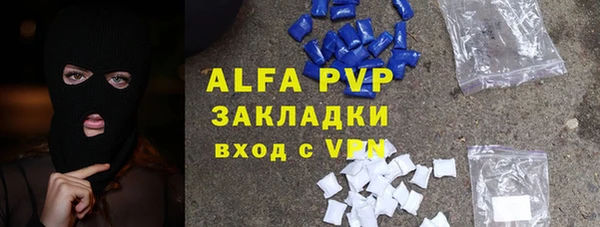 стафф Алексин