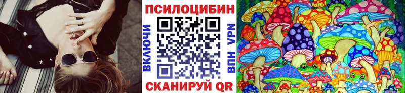 Купить  Каменногорск  Псилоцибиновые грибы прущие грибы 