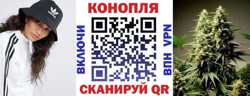 Каннабис THC 21%  Купить где  Каменногорск 